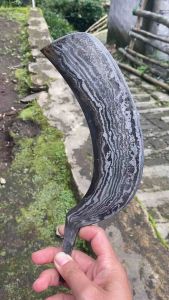 arit deres balikmipih atau damaskus ukuran 5-6cm