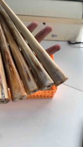 Gula Aren Panjang 22cm: Panduan Lengkap