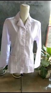 Seragam Profesional: Baju Perawat, ASN, Guru, PDH & PPPK