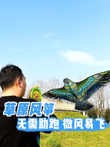 BIG Eagle kite with Free line for kite children/layang-layang