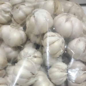 Bawang Putih Murah 1 kg kualitas Terbaik