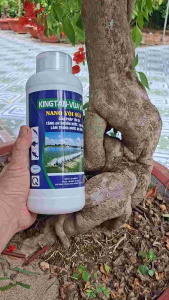 Kingtan Vua Vôi Nano 1L Vôi Sữa Tăng pH Hạ Phèn Làm Trong Nước Ao Nuôi Cá Tôm Giải Pháp Xử Lý Nước Hiệu Quả Cho Thủy Sản Dạng Lỏng Dễ Sử Dụng