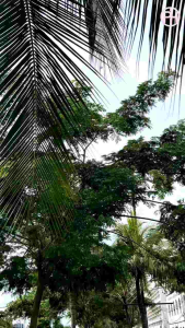 PELANGI HIJAB Gamis Thalia Dress (hanya gamis)