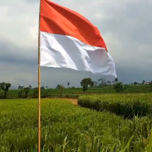 BENDERA MERAH PUTIH/ BENDERA INDONESIA