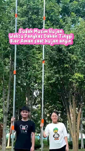 GERGAJI BATANG DAHAN RANTING POHON TINGGI SHARP SAW PRUNNING HIGH TREEBEST QUALITY