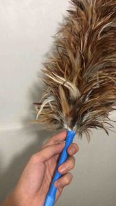 Large Feather Duster | Pantay | Authentic Chicken Feathers