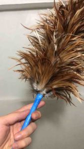 Medium Feather Duster | Pantay | Authentic Chicken Feathers