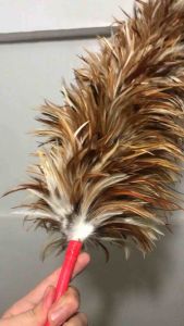 Jumbo Feather Duster | Pantay | Authentic Chicken Feathers