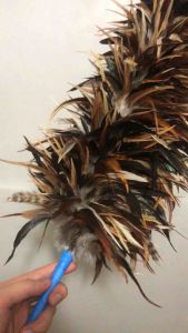 Large Feather Duster | Fortune | Authentic Chicken Feathers