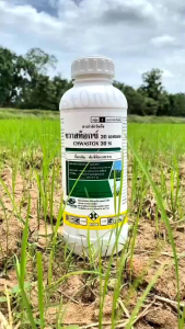 ชวาสท็อกซ์เอ็กซ์ตร้า300SL(เอ็มซีพีเอ)ขนาด1ลิตรปราบหญ้าแห้วหมู กก สูตรไร้กลิ่นฉีดได้3-4ไร่