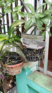 Túi đựng mắt kính da bò thật bảo vệ mắt kính bị trầy xước đựng được các loại thẻ