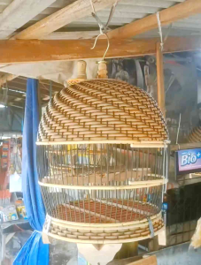 Kandang Rotan Perkutut Minion tebok bisa di lepas + bonus cepuk