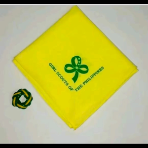 Gsp Scarf And Ring/Gsp Accessories