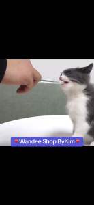 เครื่องดื่มอาหารสัตว์เลี้ยง สุนัข หมา แมว ที่ป้อนยา แมว ป้อนยาสูง ป้อนนม เข็มให้ยาสัตว์เลี้ยง สินค้าสต็อกในไทย