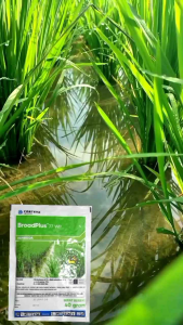 broadplus | 40 gr | ORIGINAL | 77 wp  | Herbisida | Pembasmi gulma | Herbisida Slektif | brodplus | Original Kemasan Pabrikan netto 40 gram