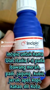 Insektisida Incipio 200SC 100ml ORIGINAL ASLI 100% SYNGENTA Obat Hama Tanaman Ulat Padi Bawang Jagung