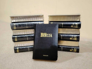 ANG BIBLIA TAGALOG COMPACT SOFT LEATHERETTE COVER LUMA AT BAGONG TIPAN OF 1982
