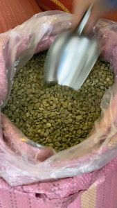 Cà phê ROBUSTA HONEY nguyên chất rang mộc vị đắng đầm hậu ngọt sâu thơm nồng pha phin pha máy - Phan Coffee