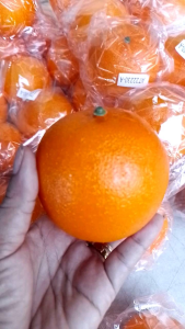 fake orange for props and decorations 12pcs