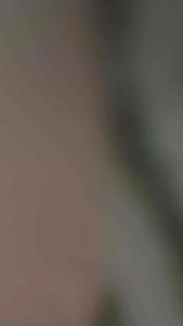 Viên nhai trị ve rận cho chó ETO MODEX vị thịt bò thơm ngon hiệu quả tốt