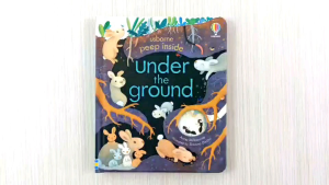Usborne Peep Inside Under the Ground