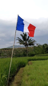 Bendera Prancis Euro 2024 Ukuran 70x110 CM (sedang)