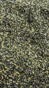 Tim sen khô - Tâm sen -200gr - 500gr