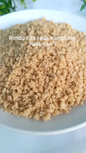 Oyek singkong atau nasi tiwul