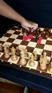 bidak biji catur kayu tipe kuda zagreb premium berkualitas