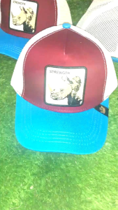 Topi Trucker GB Topi jaring karakter strenger