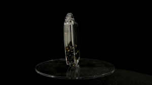 Hộp 50 Lưỡi câu cá CJ Seiko Nhật Bản Vàng Đen