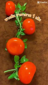 ส้มปลอม โมเดลพวงส้ม (ลูกใหญ่)ราคาขาย1 เส้น มี4 ลูกใหญ่ วัสดุผลิตจากโฟม ห้ามโดนน้ำ