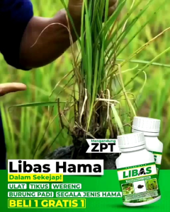 Pupuk Libas Pembasmi Hama dan Bakteri Tanaman Beli 1 Gratis 1