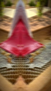 Madu Necta Akacia Promo 6 Botol Pure Raw 100% BPOM