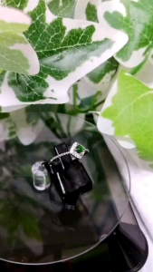 แหวนหยกแท้สีเขียวมรกตตัวเรือนเงิน925ฟรีไซส์ ✨  วัสดุ: แหวนทำจากหยกแท้สีเขียวมรกต และตัวเรือนเงิน925 ให้ความรู้สึกหรูหราและมีคุณภาพ.  ขนาด: ฟรีไซส์ สามารถปรับขนาดได้ตามต้องการ สะดวกสำหรับการสวมใส่.  ข้อมูลเพิ่มเติม:  แหวนนี้เป็นของแท้ 1