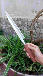 DAO THÁI LỌC SASHIMI HÀNG NHẬT DÀI 40CM DAO LÀM BẾP NHẬT