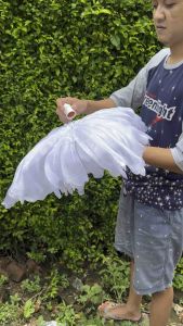 Kelopak Bunga Dekorasi Pelaminan: Tips dan Trik