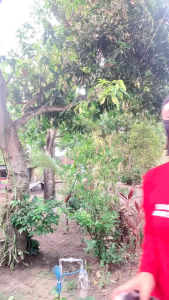 Balaclava Face Mask Masker Motor Helm Bahan Premium