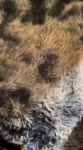 Termurah Popok Bayi tipe celana Isi 50pcsOriginal Repack