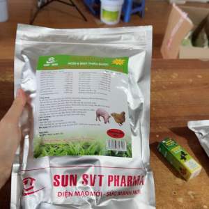 Sun provit bật cựa đỏ tích kích mào dày lườn