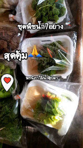 ชุดพืชน้ำ7อย่างราคาสุดคุ้ม สำหรับอ่างปลาตู้ปลาสวยงาม ราคาสุดคุ้มคุ้มค่า