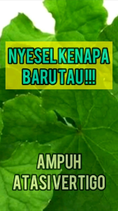 Daun Antana / Pegagan Freshh