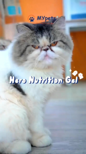 HERO PET NUTRITION GEL 120gr HERO Pet Animal Health Nutrition Cream Supplemen Hewan Cat Dog 120 gram Vitamin Suplemen Multivitamin Makan Anabul Anjing Kucing 120 gr