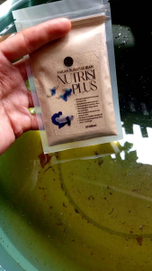Fish Art • Nutrisi Plus 20Gram Pakan Burayak Cupang dan Ikan Hias Lainnya