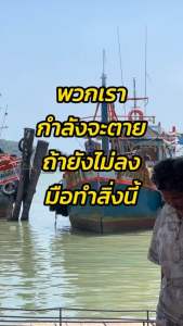 น้ำพริกปูม้า แบรนด์ บังฟิส ( เนื้อปูม้า ไข่ปูม้า มันปูม้า )