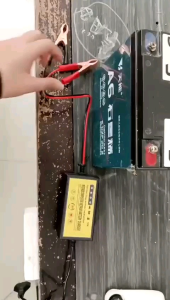 Charger Aki Motor Mobil 12 Vol 2 Amper