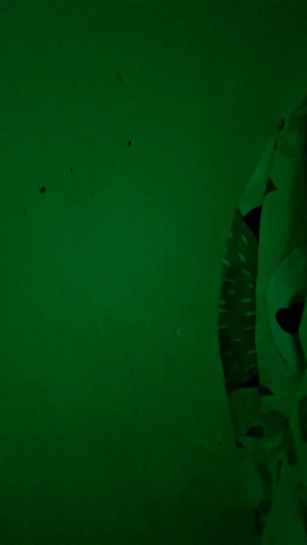 Buyer review video 3