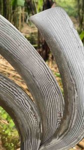 Arit Deres Balik Mipih