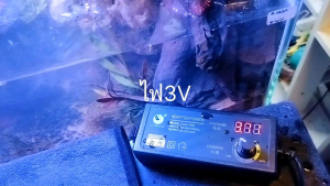 Water pump DC 3.5-9V / 1-3W ใช้ไฟUSB ปั๊มออกซิเจน ปั๊มน้ำ ปั๊มน้ำพุ ปั๊มตู้ปลาขนาดเล็ก พร้อมส่ง