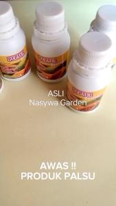 Pupuk Booster Pepaya Perangsang Semprot dan Kocor Buah Terbaik Agar Cepat Berbuah Lebat